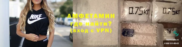 ECSTASY Горняк