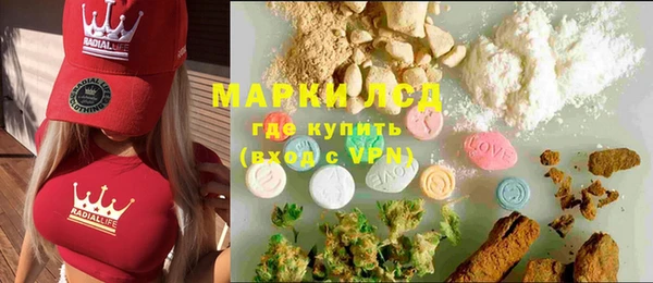 ECSTASY Горняк