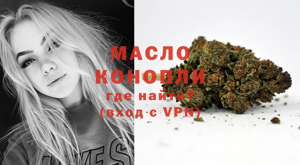 ECSTASY Горняк