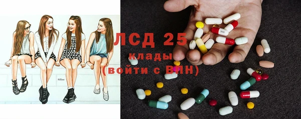 соль ск Горнозаводск