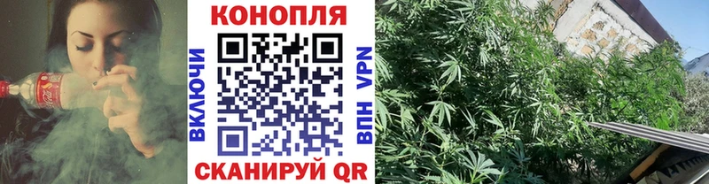 Шишки марихуана ГИДРОПОН  Купить где  Белёв 